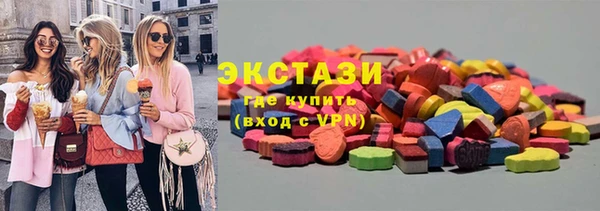 индика Нягань